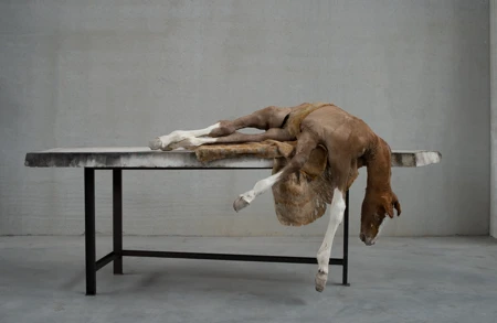 Thumbnail image for exhibition titled Berlinde De Bruyckere<br>Khorós