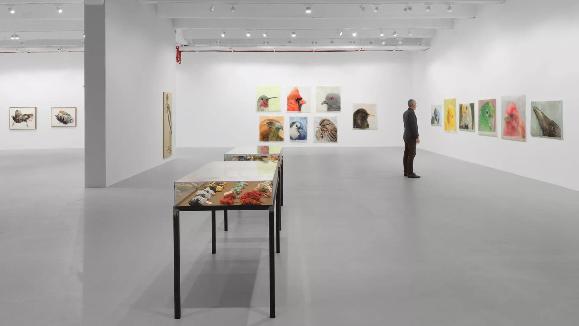 Image for exhibition 