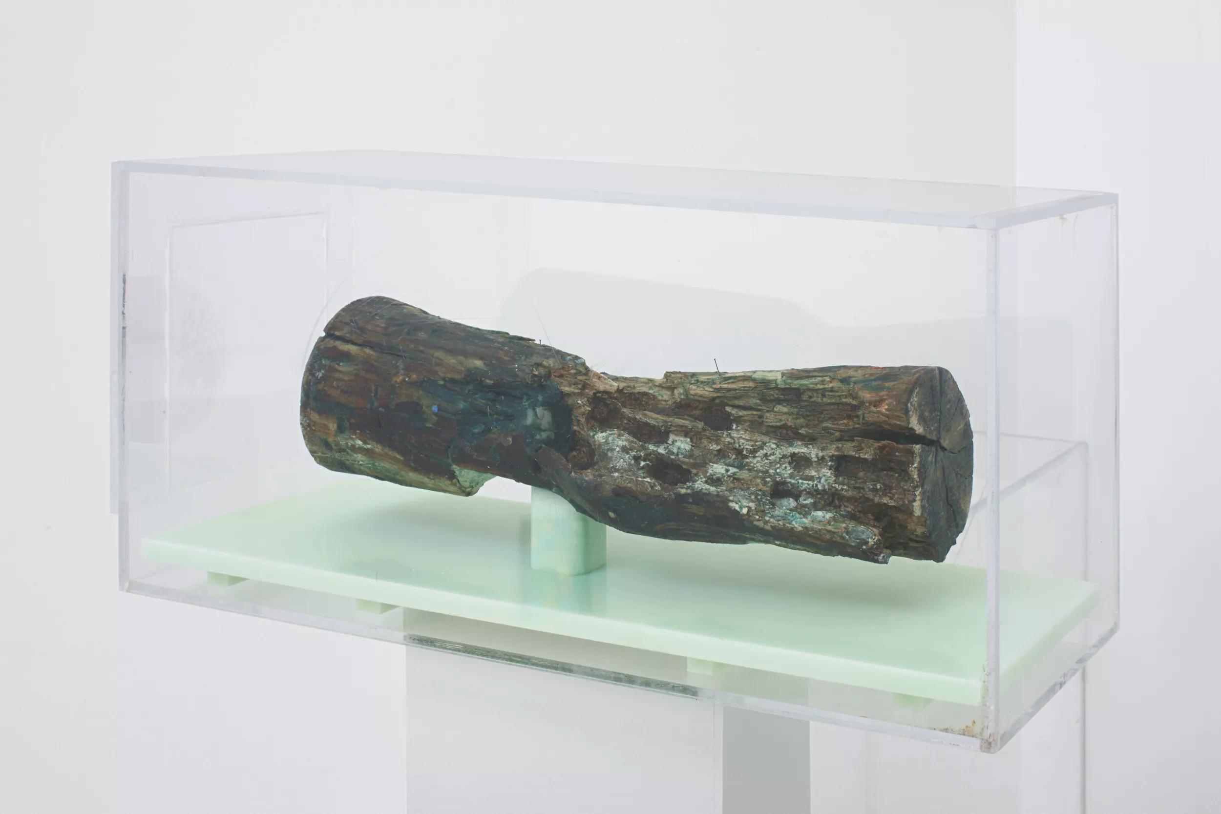 Image for exhibition 