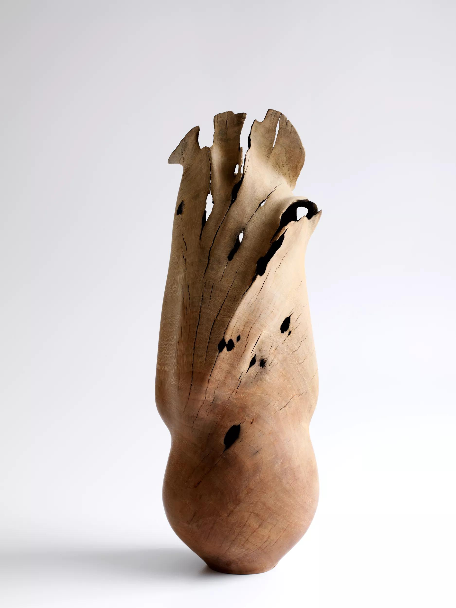 Image for exhibition 