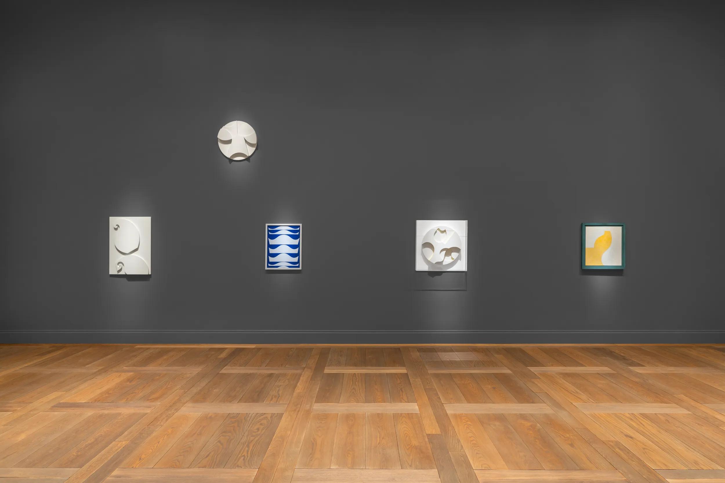 Installation view image for INSTALLATION VIEWS