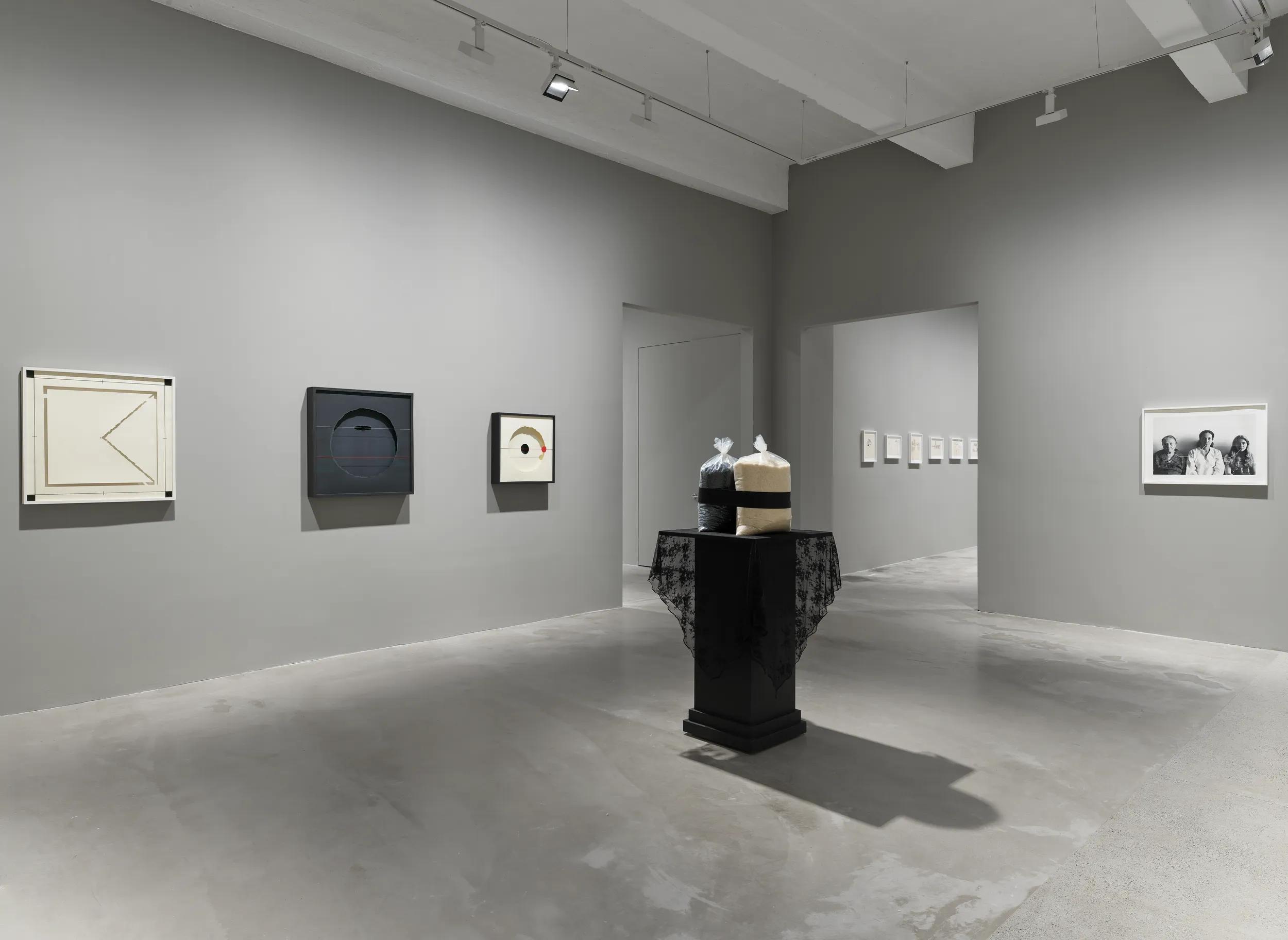 Installation view image for Installation Views