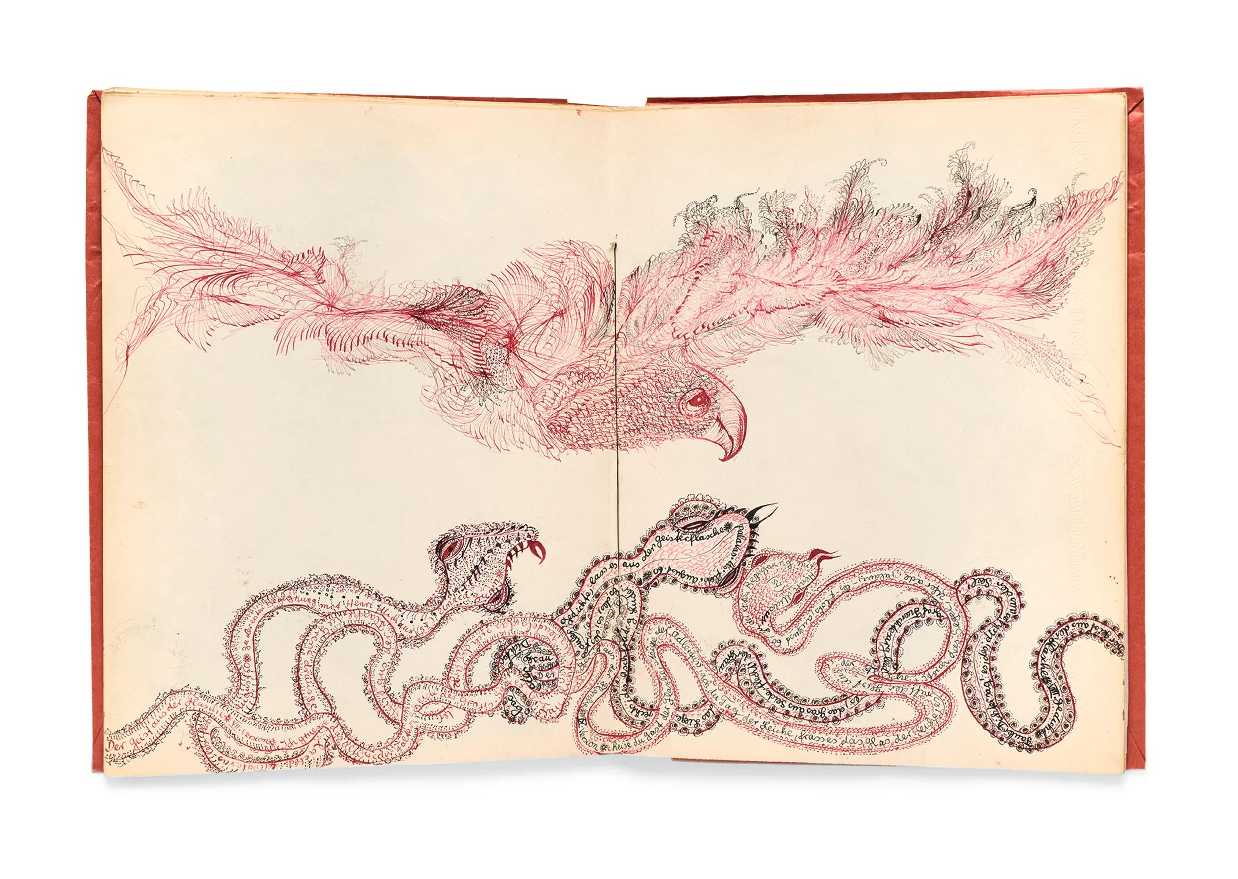 Hero image Ursula Hero titled Rare Specimens: Andrew Roth on the power of the book as object