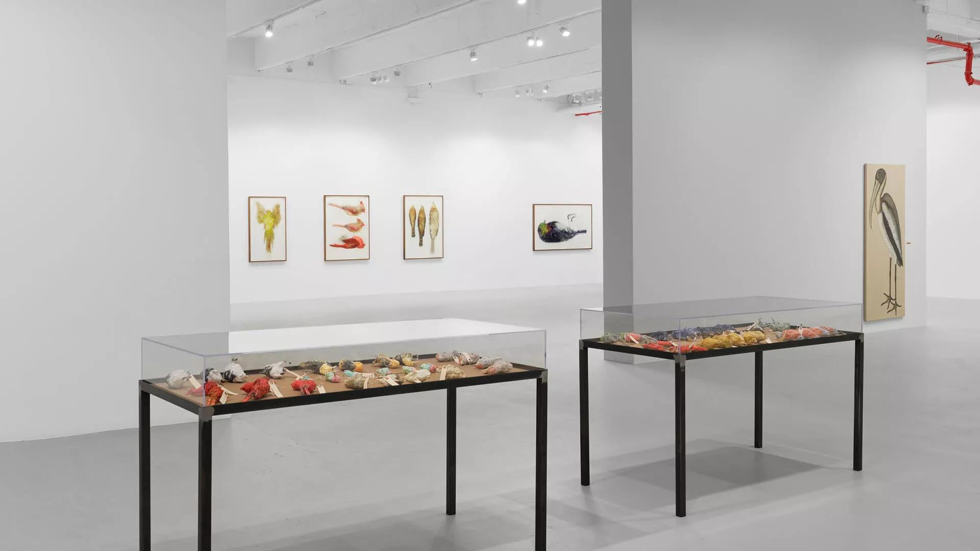 Image for exhibition 