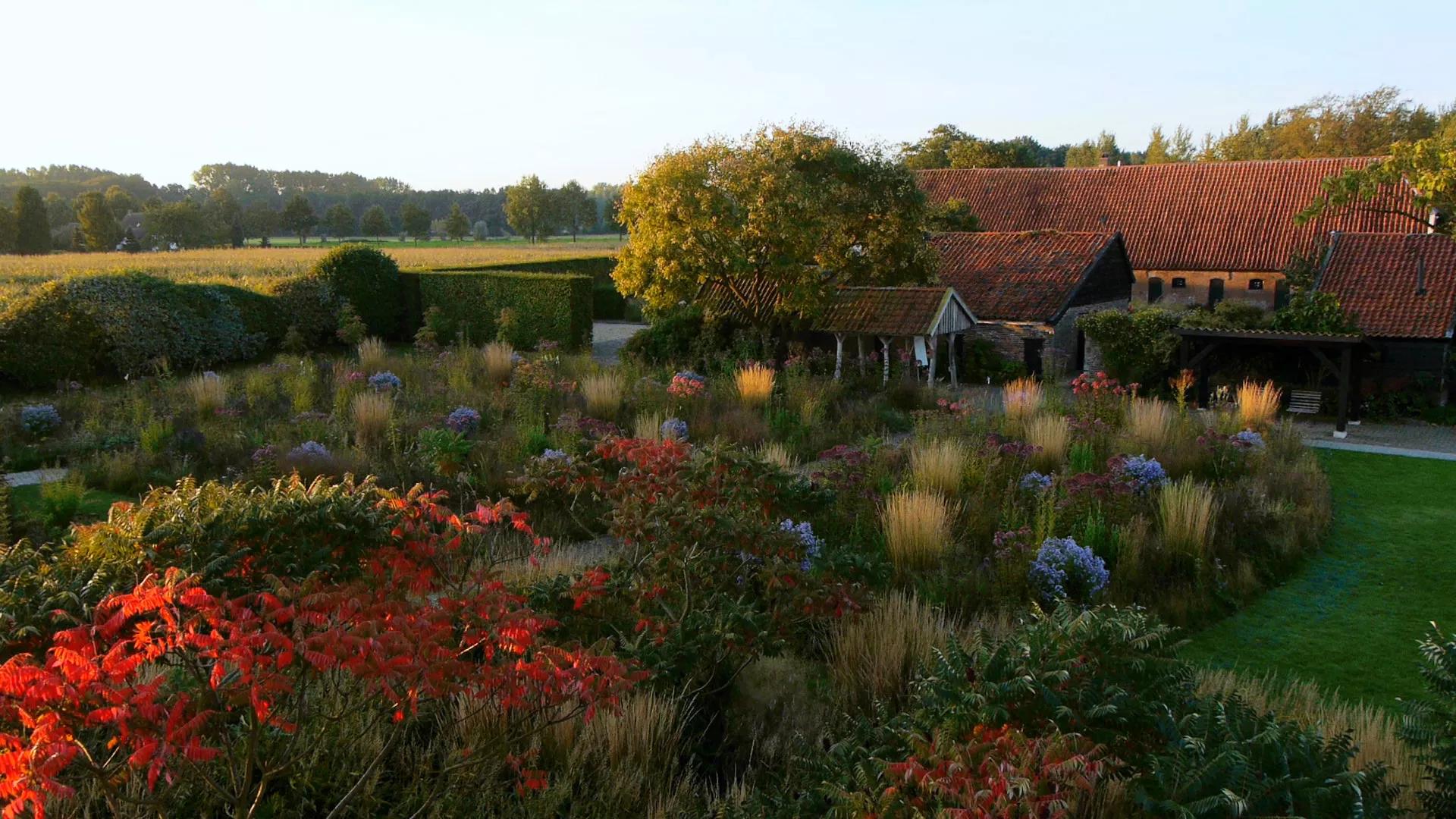Hero image for event titled CinemArt Screening: Five Seasons: The Garden of Piet Oudolf