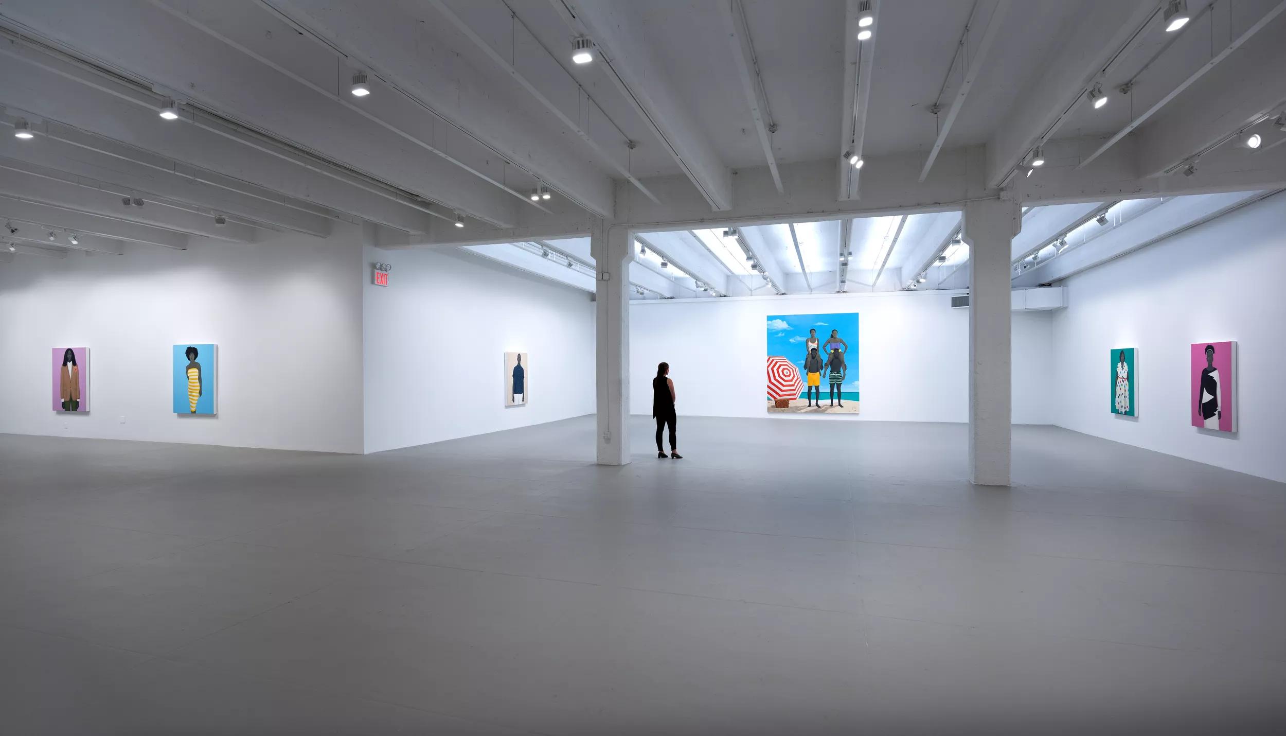 Installation view image for Installation views