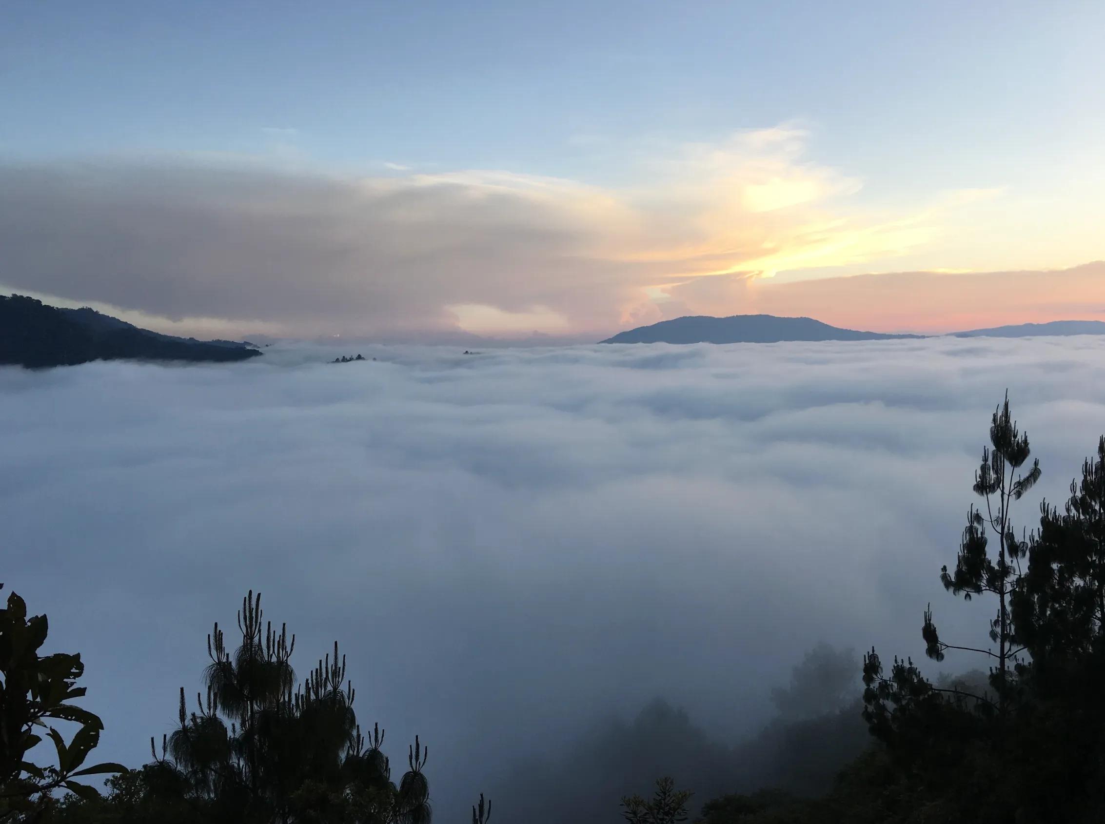 Image for exhibition titled About Artists Commit