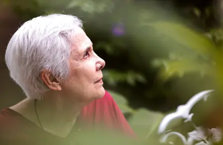 Image for ursula titled The Radar: Anna Maria Maiolino