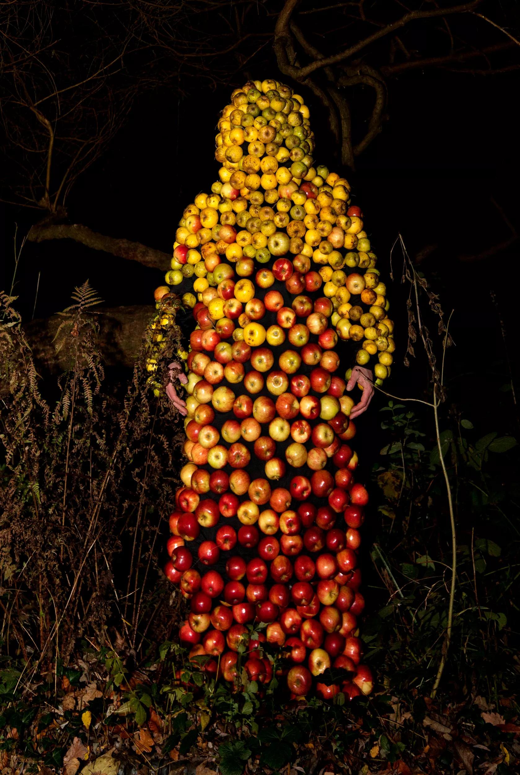 Image for exhibition titled Marcus Coates