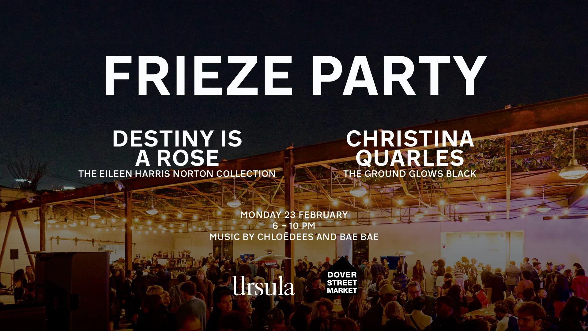 Image for Frieze Party: Eileen Harris Norton and Christina Quarles