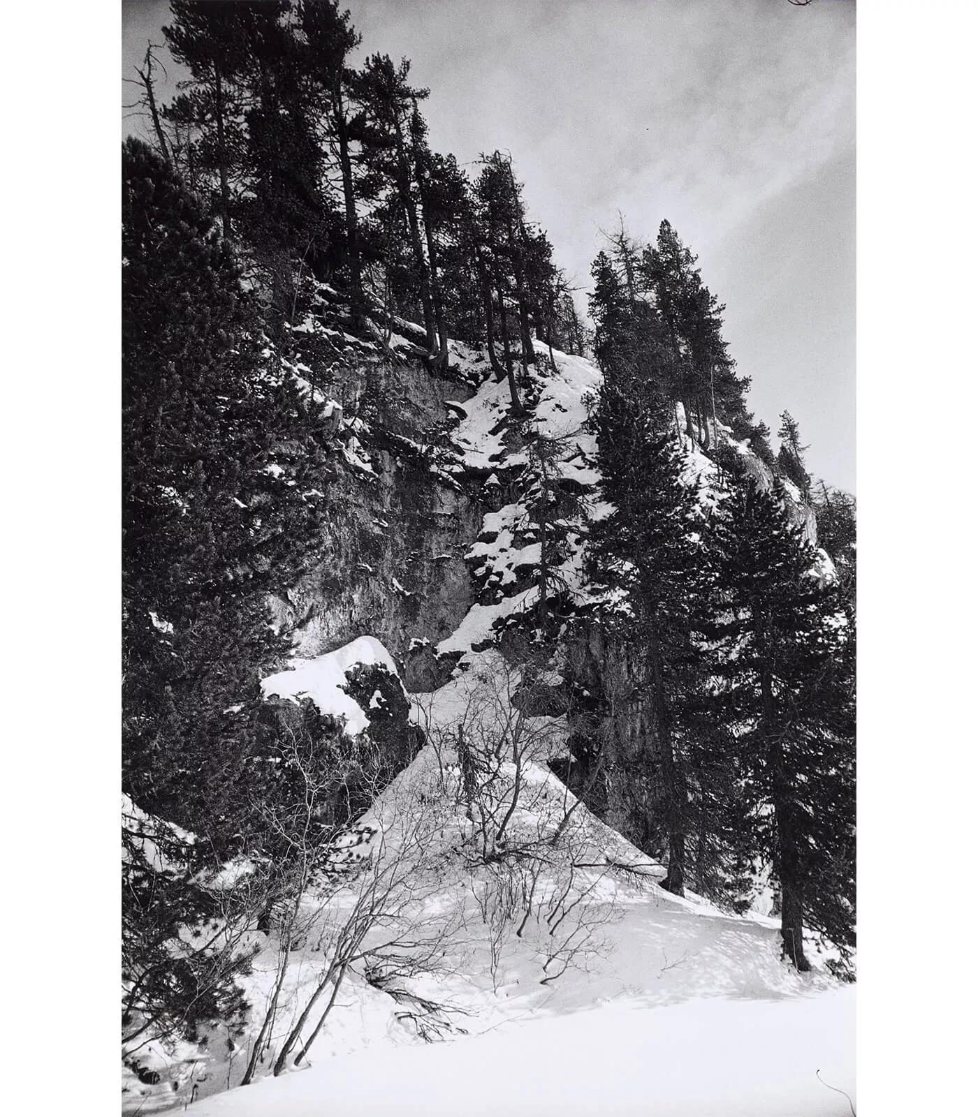 Image for exhibition titled Günther Förg