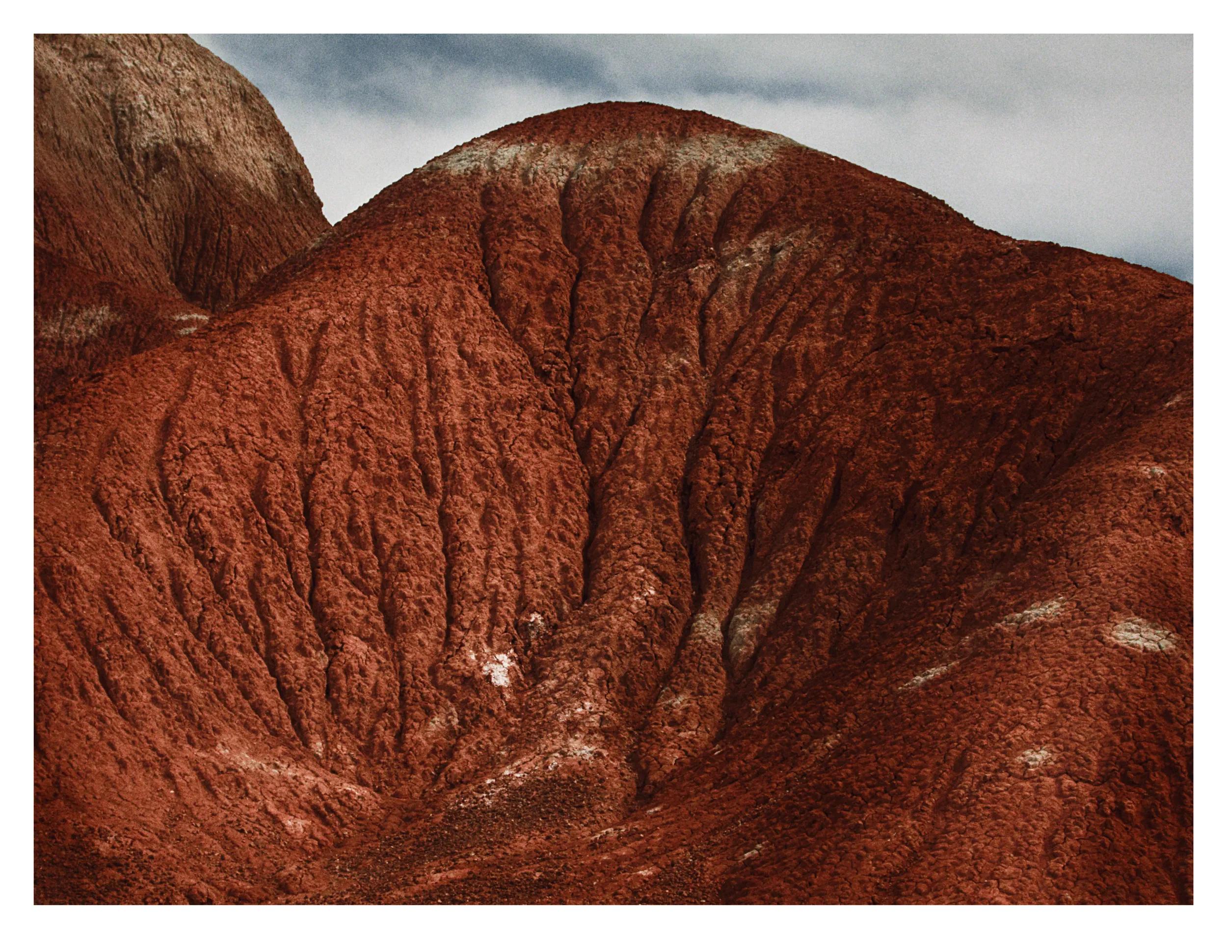 Image for exhibition titled Annie Leibovitz