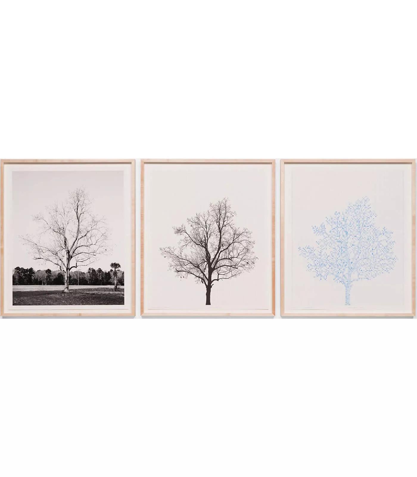Image for exhibition titled Charles Gaines