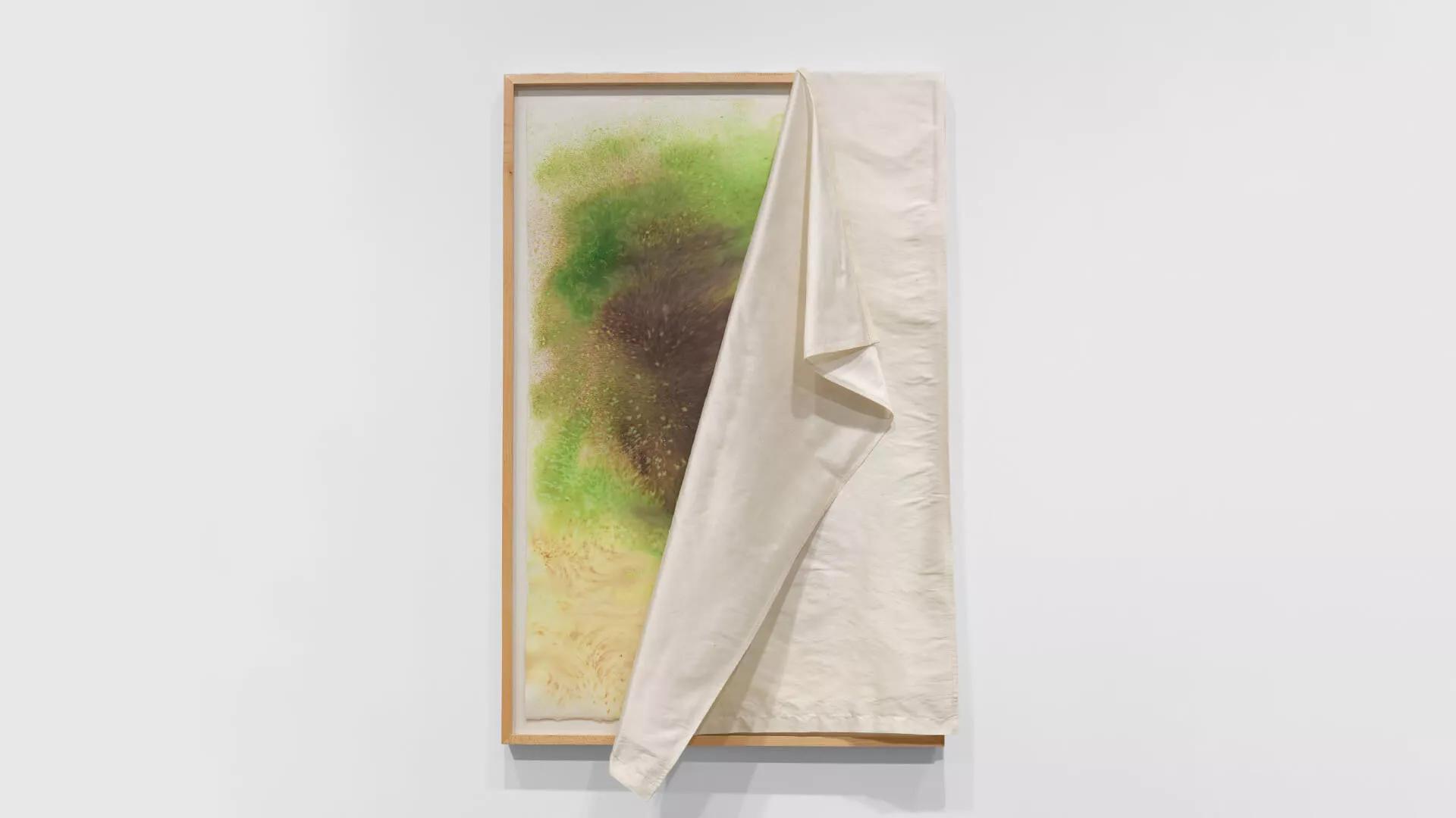 Image for exhibition 