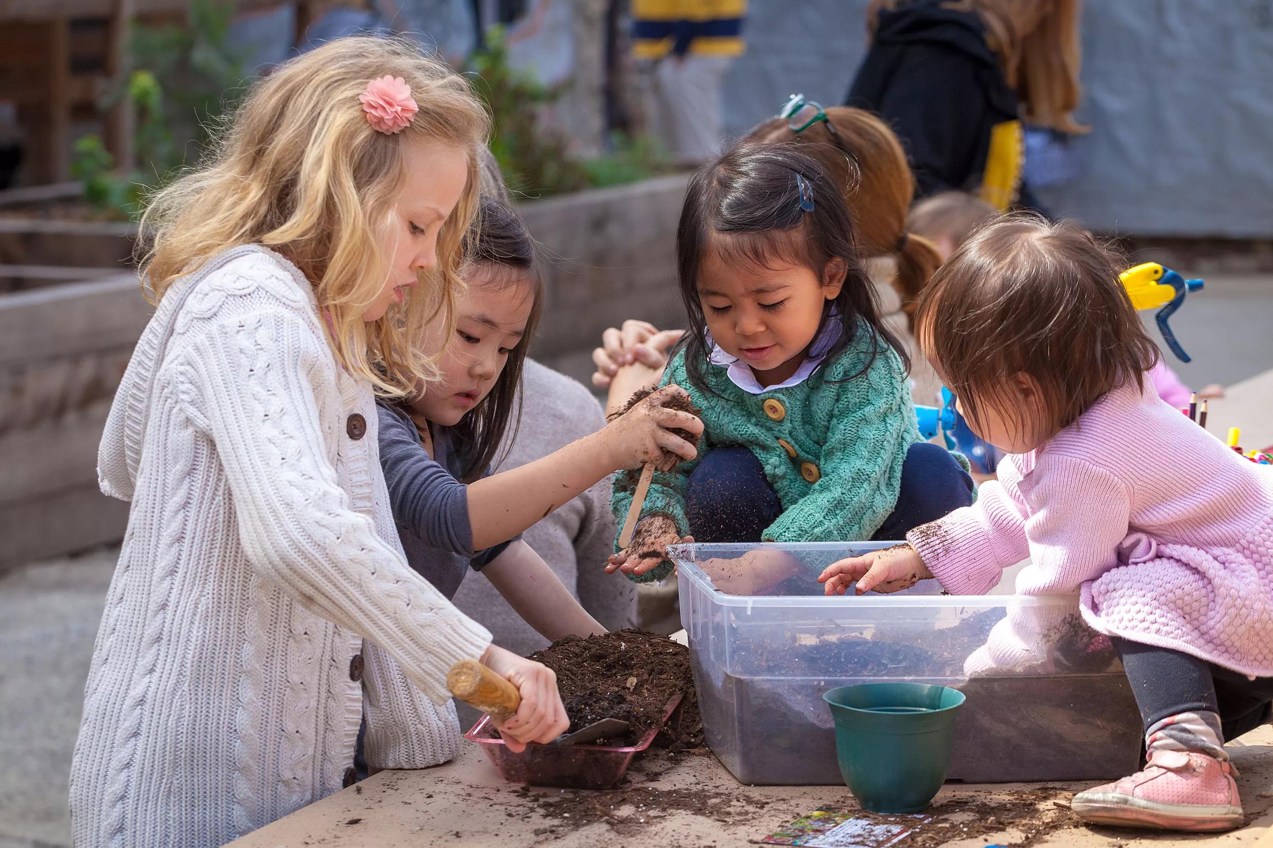 Hero image for event titled Family Garden Workshop: Nature’s Pigments