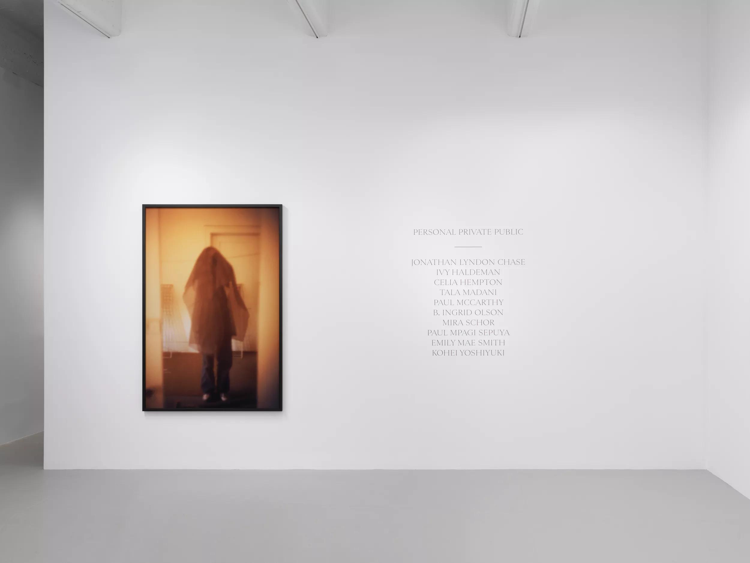 Installation view image for Installation views