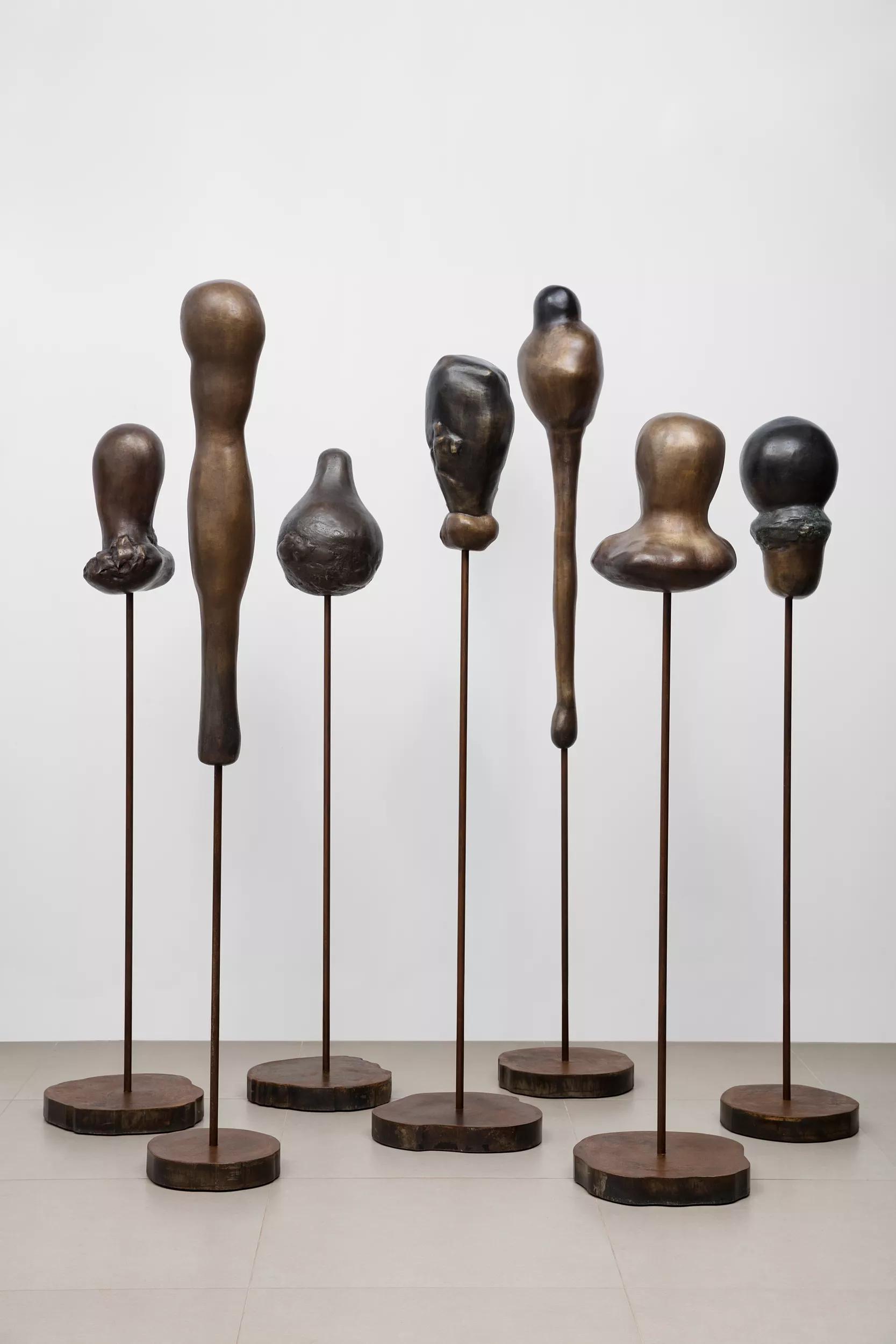 Image for exhibition 